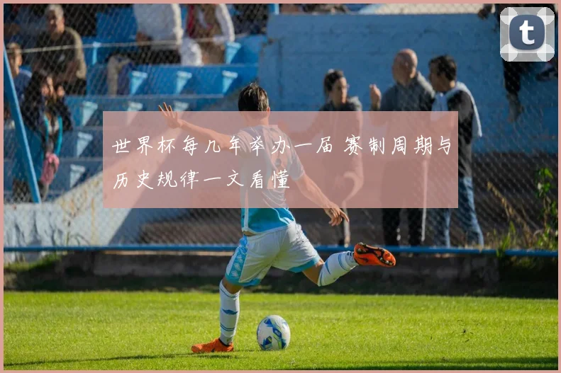 世界杯每几年举办一届 赛制周期与历史规律一文看懂