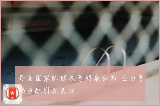 丹麦国家队球衣号码表公布 主力号码分配引发关注