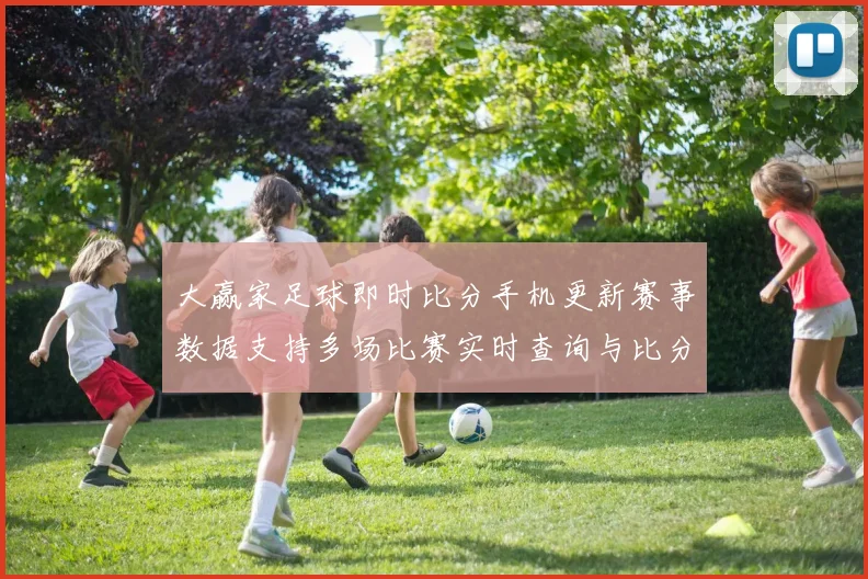 大赢家足球即时比分手机更新赛事数据支持多场比赛实时查询与比分提醒