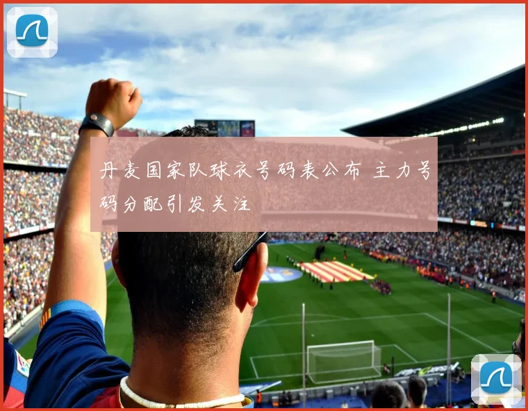 丹麦国家队球衣号码表公布 主力号码分配引发关注