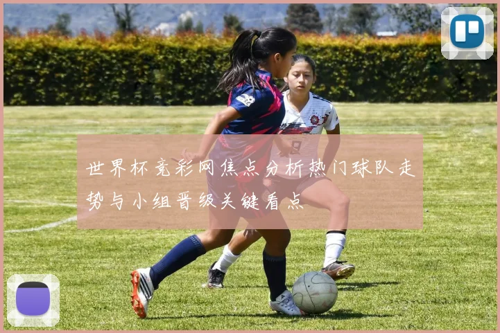 世界杯竞彩网焦点分析热门球队走势与小组晋级关键看点