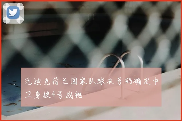 范迪克荷兰国家队球衣号码确定中卫身披4号战袍