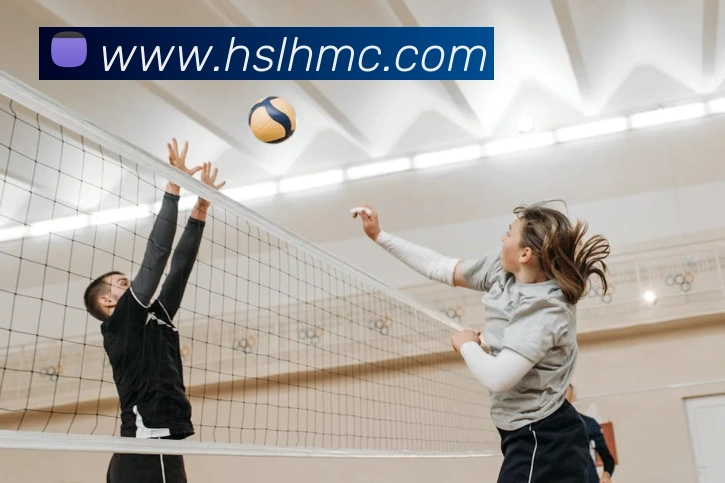 开云手机网页登录网页发展历程